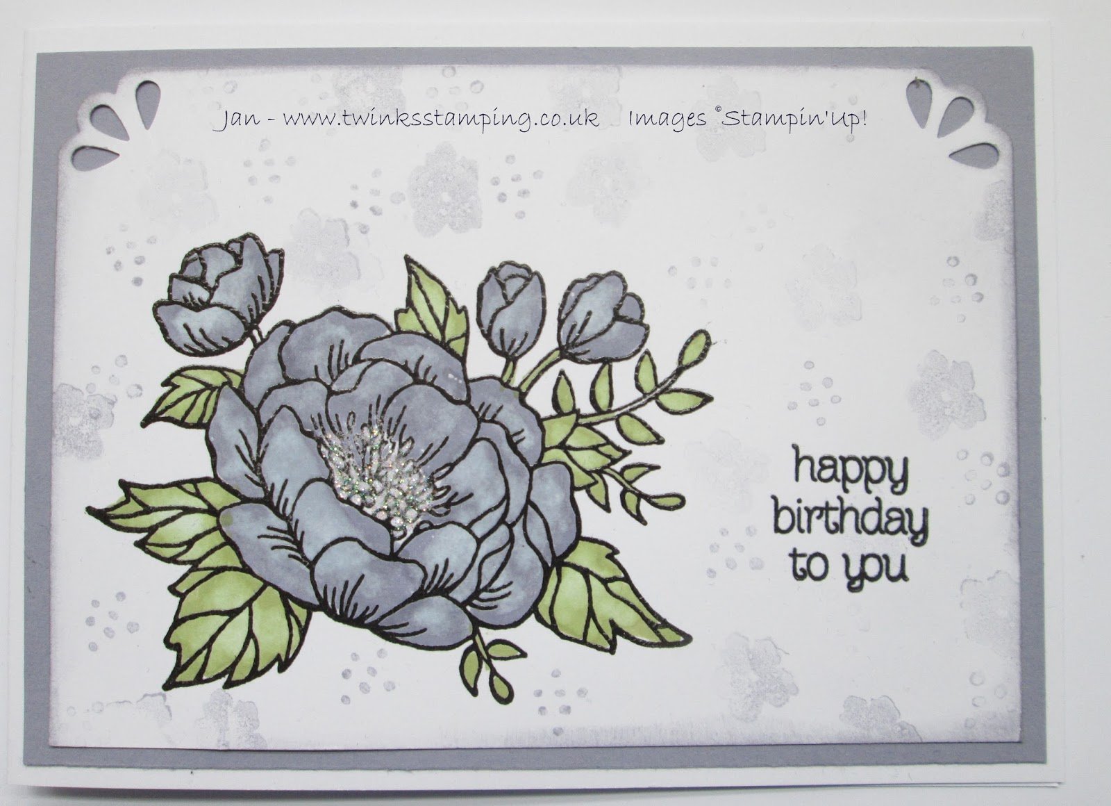 Birthday Blooms in Wisteria Wonder