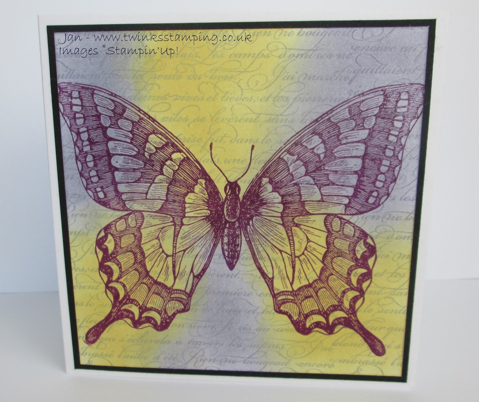 Retiring Swallowtail…………………