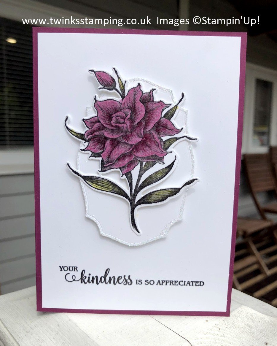 Flowering Blooms by Stampin’Up!  – Twinks Stamping
